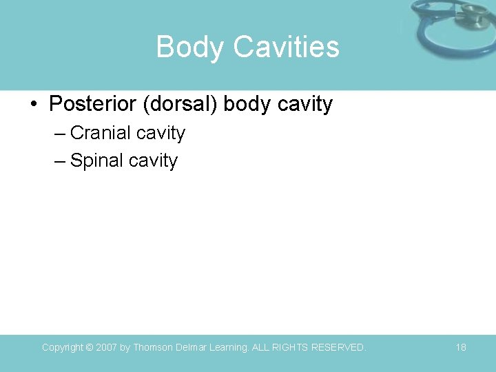 Body Cavities • Posterior (dorsal) body cavity – Cranial cavity – Spinal cavity Copyright