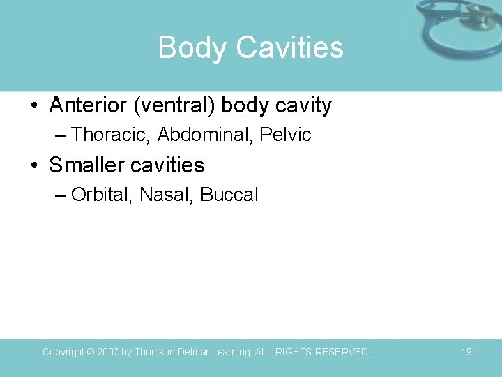 Body Cavities • Anterior (ventral) body cavity – Thoracic, Abdominal, Pelvic • Smaller cavities