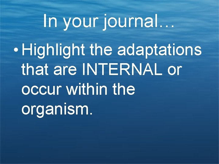 In your journal… • Highlight the adaptations that are INTERNAL or occur within the
