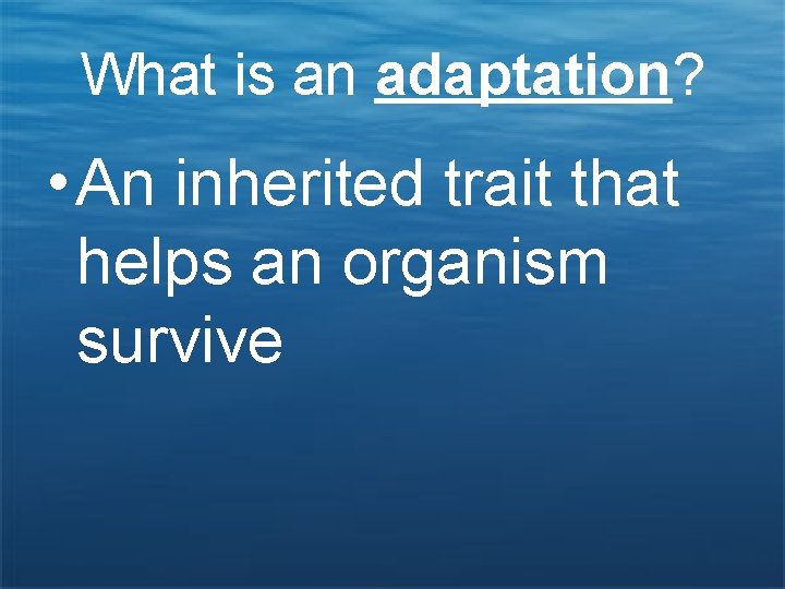 What is an adaptation? • An inherited trait that helps an organism survive 