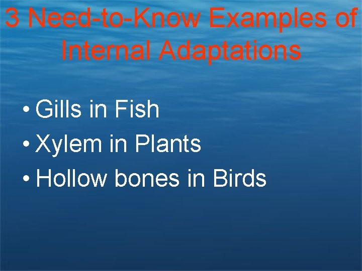 3 Need-to-Know Examples of Internal Adaptations • Gills in Fish • Xylem in Plants