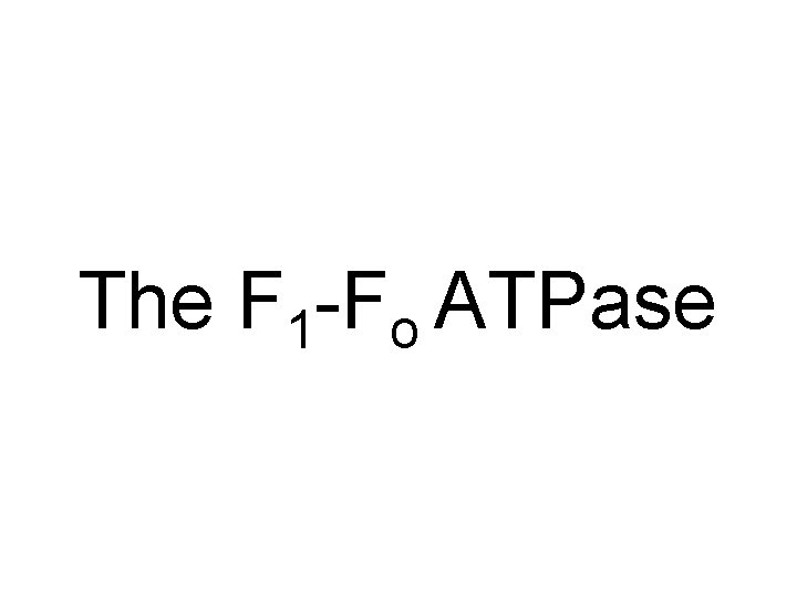 The F 1 -Fo ATPase 