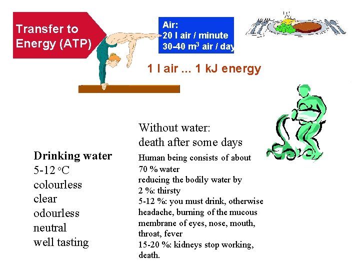 Transfer to Energy (ATP) Air: 20 l air / minute 30 -40 m 3