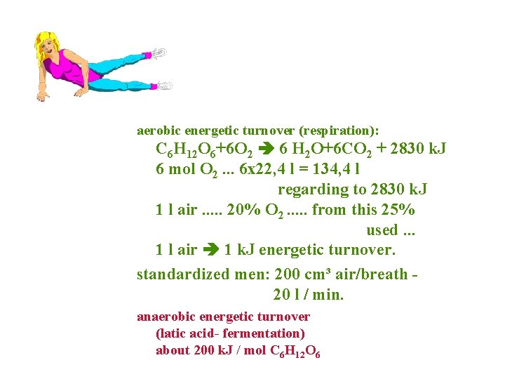 aerobic energetic turnover (respiration): C 6 H 12 O 6+6 O 2 6 H
