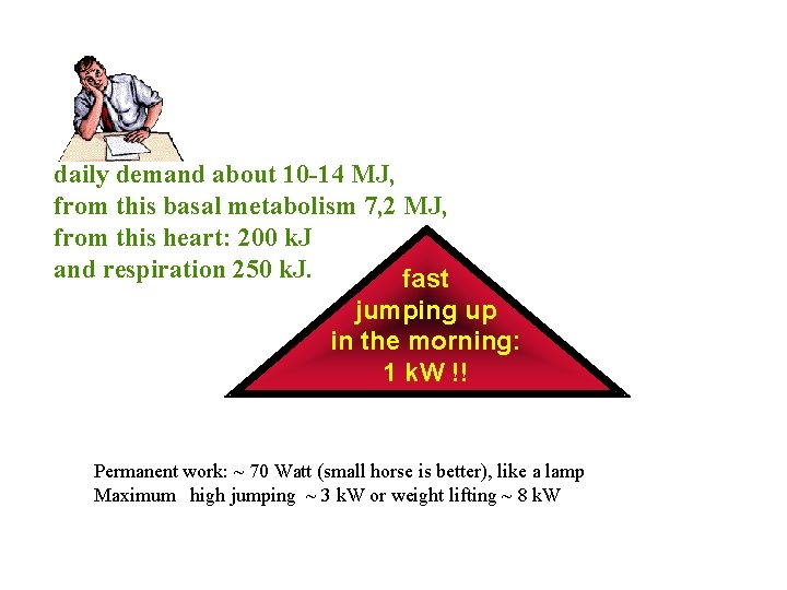 daily demand about 10 -14 MJ, from this basal metabolism 7, 2 MJ, from