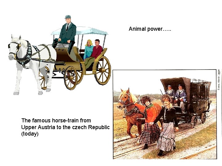 Animal power…. . The famous horse-train from Upper Austria to the czech Republic (today)