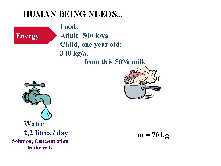 HUMAN BEING NEEDS. . . Energy Food: Adult: 500 kg/a Child, one year old: