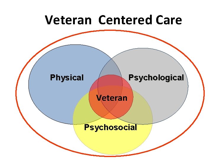 Veteran Centered Care Physical Psychological Veteran Psychosocial 