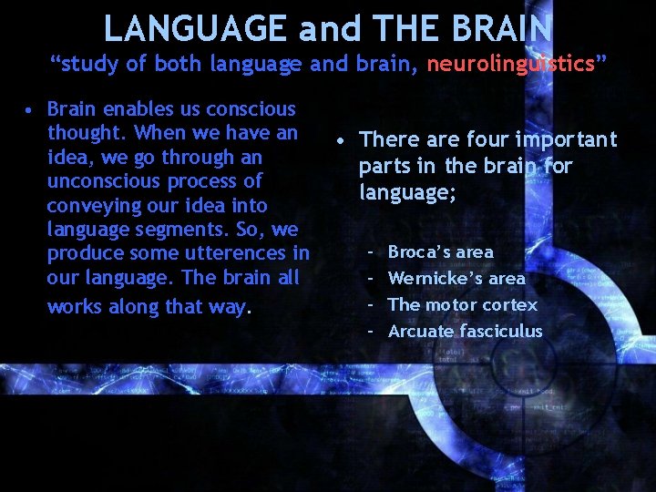 LANGUAGE and THE BRAIN “study of both language and brain, neurolinguistics” • Brain enables