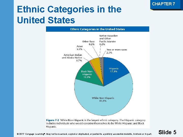 Ethnic Categories in the United States © 2017 Cengage Learning®. May not be scanned,