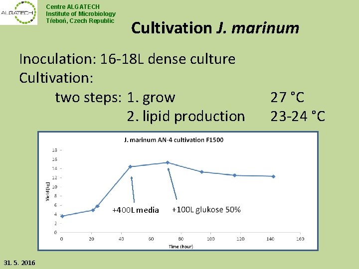 Centre ALGATECH Institute of Microbiology Třeboň, Czech Republic Cultivation J. marinum Inoculation: 16 -18