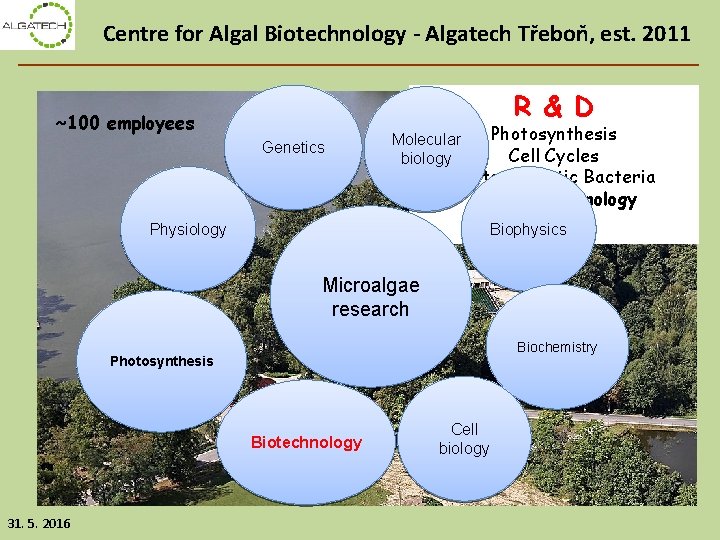 Centre for Algal Biotechnology - Algatech Třeboň, est. 2011 R & D ~100 employees