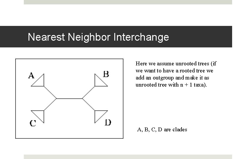 Nearest Neighbor Interchange Here we assume unrooted trees (if we want to have a