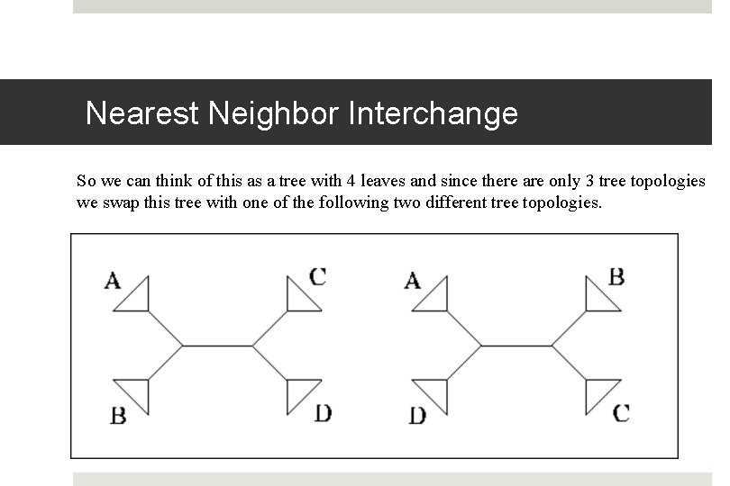 Nearest Neighbor Interchange So we can think of this as a tree with 4