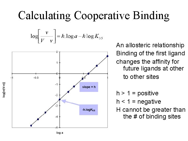 Calculating Cooperative Binding An allosteric relationship Binding of the first ligand changes the affinity