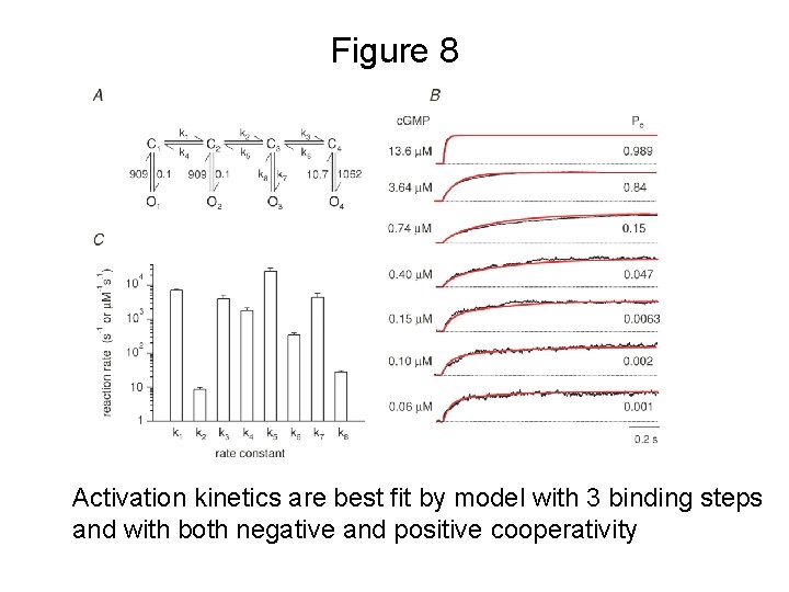 Figure 8 Activation kinetics are best fit by model with 3 binding steps and