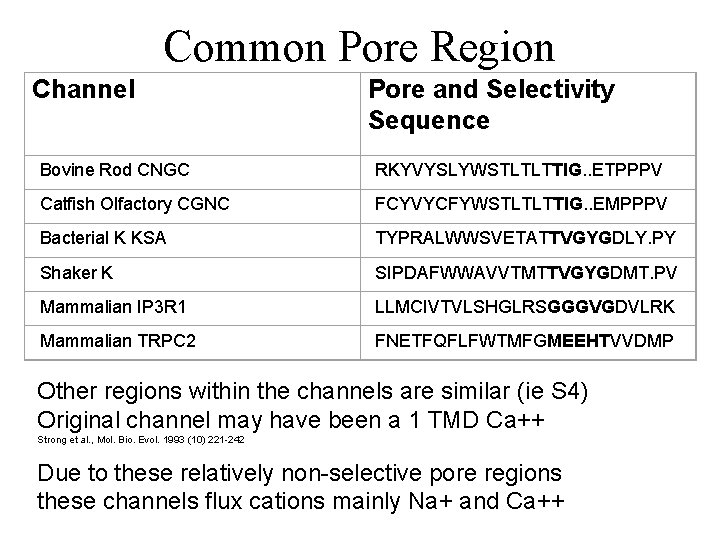 Common Pore Region Channel Pore and Selectivity Sequence Bovine Rod CNGC RKYVYSLYWSTLTLTTIG. . ETPPPV