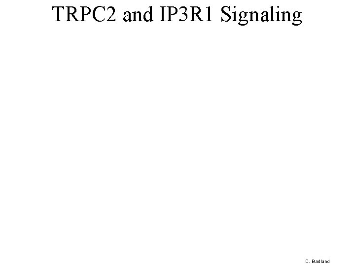 TRPC 2 and IP 3 R 1 Signaling C. Badland 