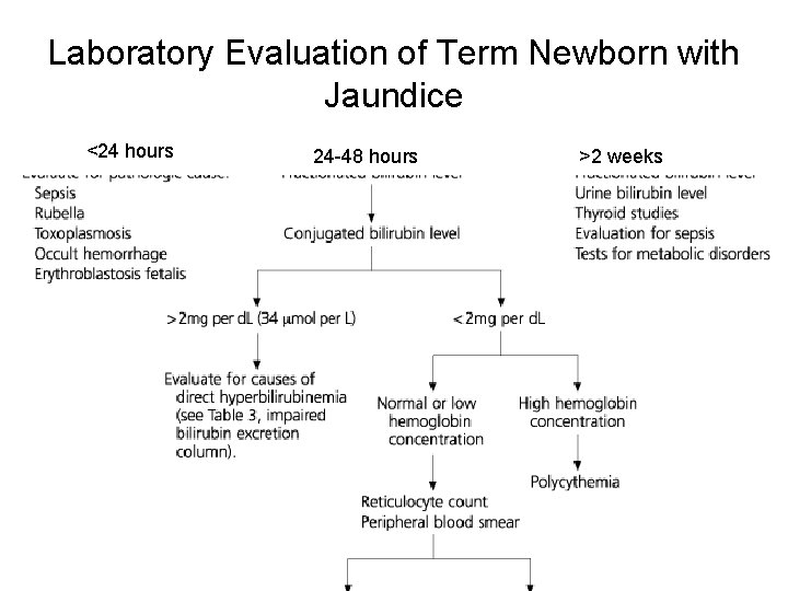 Laboratory Evaluation of Term Newborn with Jaundice <24 hours 24 -48 hours >2 weeks