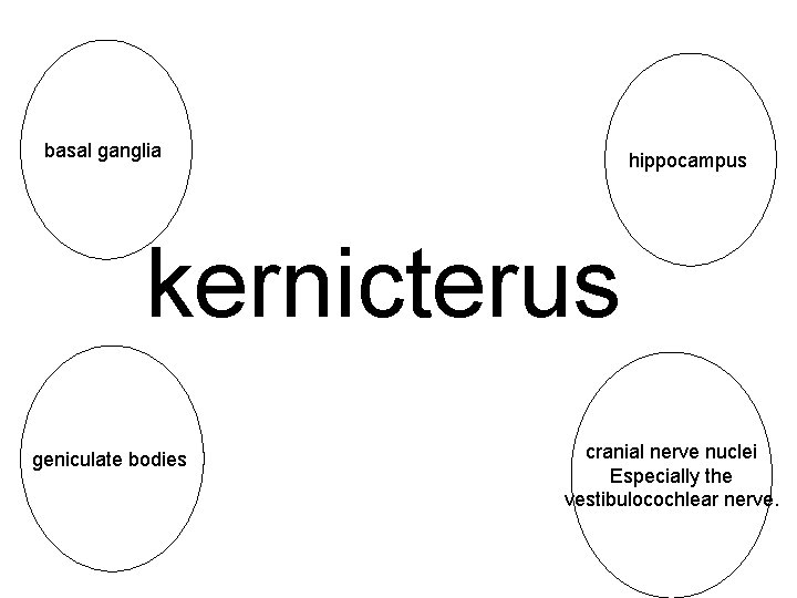 basal ganglia hippocampus kernicterus geniculate bodies cranial nerve nuclei Especially the vestibulocochlear nerve. 
