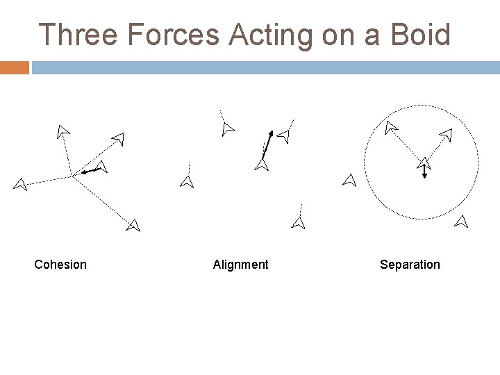 Three Forces Acting on a Boid Cohesion Alignment Separation 