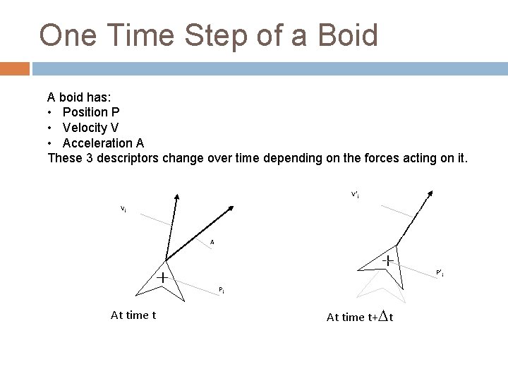 One Time Step of a Boid A boid has: • Position P • Velocity