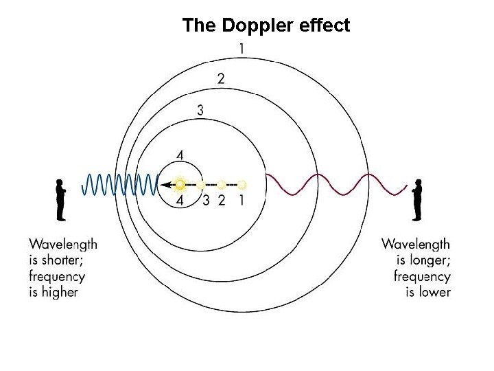 The Doppler effect 