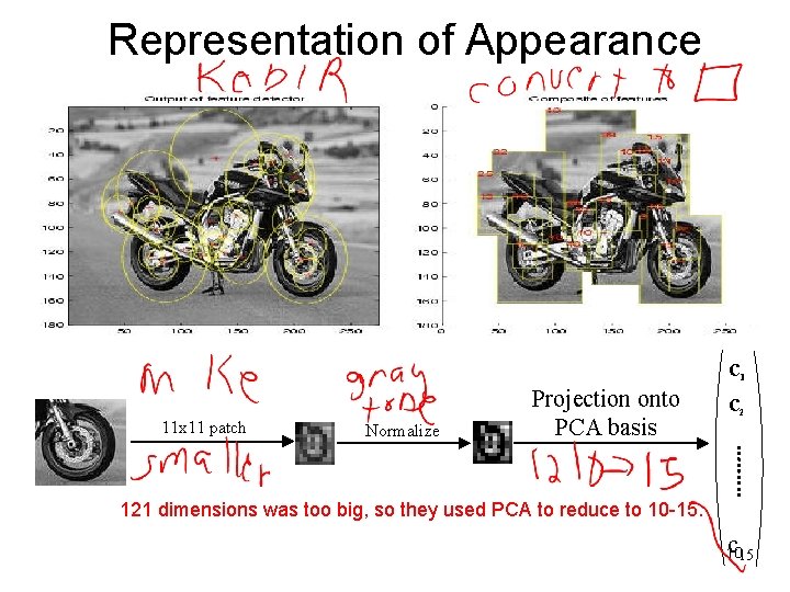 Representation of Appearance 11 x 11 patch Normalize Projection onto PCA basis c c