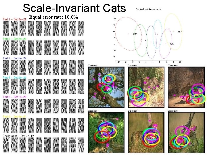 Scale-Invariant Cats Equal error rate: 10. 0% 24 