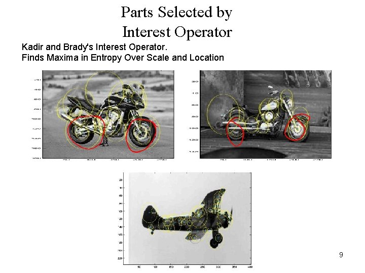 Parts Selected by Interest Operator �adir and Brady's Interest Operator. K �inds Maxima in