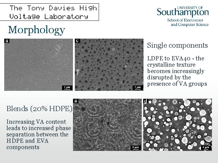 Morphology Single components LDPE to EVA 40 - the crystalline texture becomes increasingly disrupted