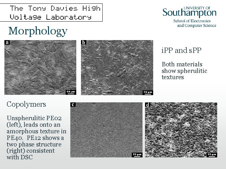 Morphology i. PP and s. PP Both materials show spherulitic textures Copolymers Unspherulitic PE