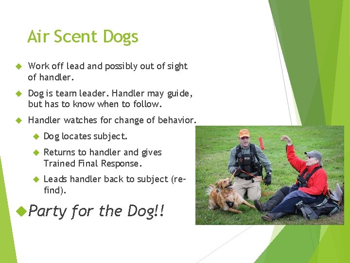 Air Scent Dogs Work off lead and possibly out of sight of handler. Dog