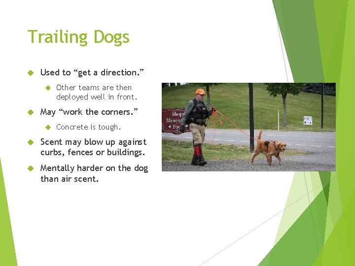 Trailing Dogs Used to “get a direction. ” Other teams are then deployed well