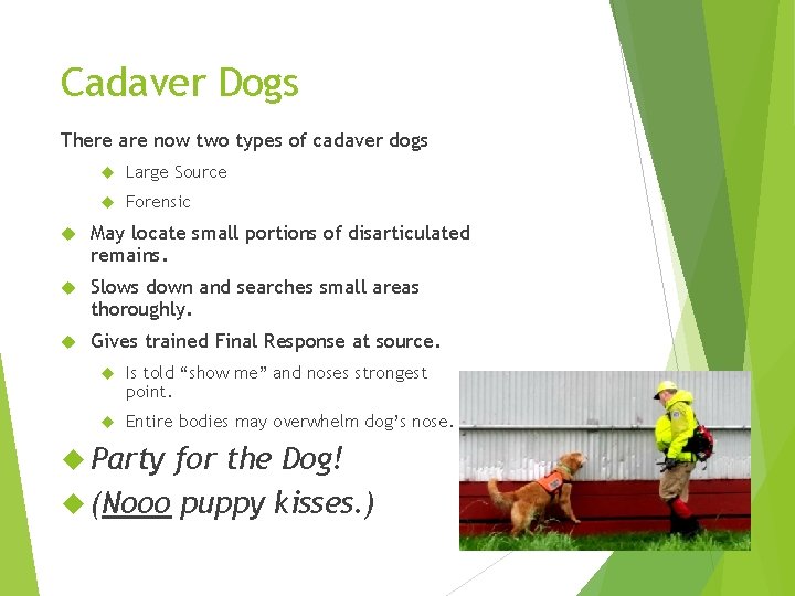 Cadaver Dogs There are now two types of cadaver dogs Large Source Forensic May