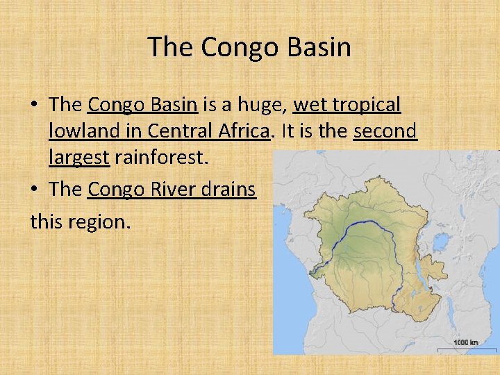 The Congo Basin • The Congo Basin is a huge, wet tropical lowland in