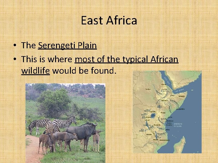 East Africa • The Serengeti Plain • This is where most of the typical