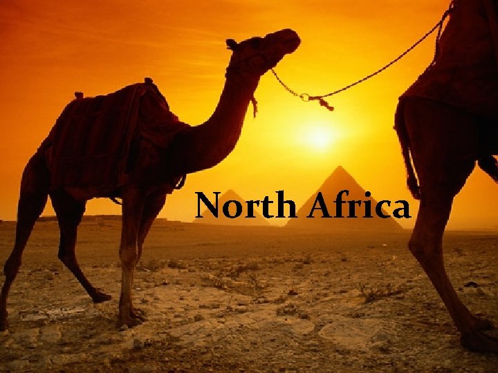 North Africa 
