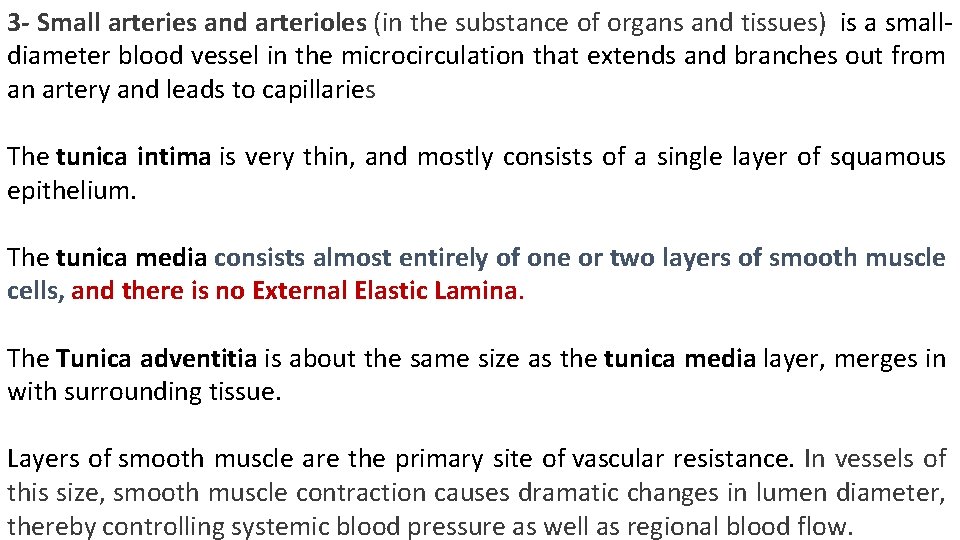 3 - Small arteries and arterioles (in the substance of organs and tissues) is