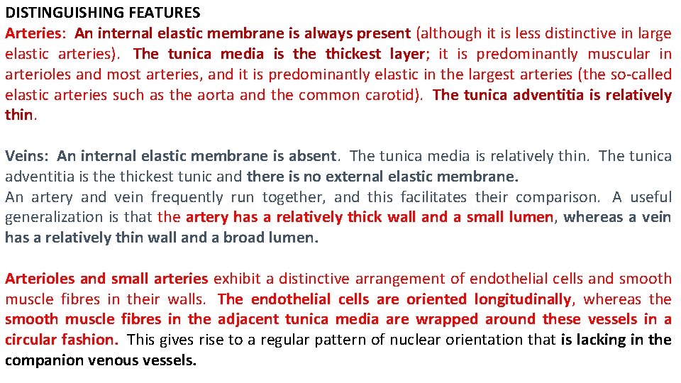 DISTINGUISHING FEATURES Arteries: An internal elastic membrane is always present (although it is less