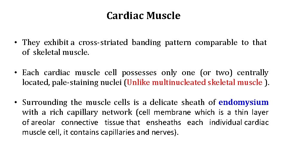 Cardiac Muscle • They exhibit a cross-striated banding pattern comparable to that of skeletal