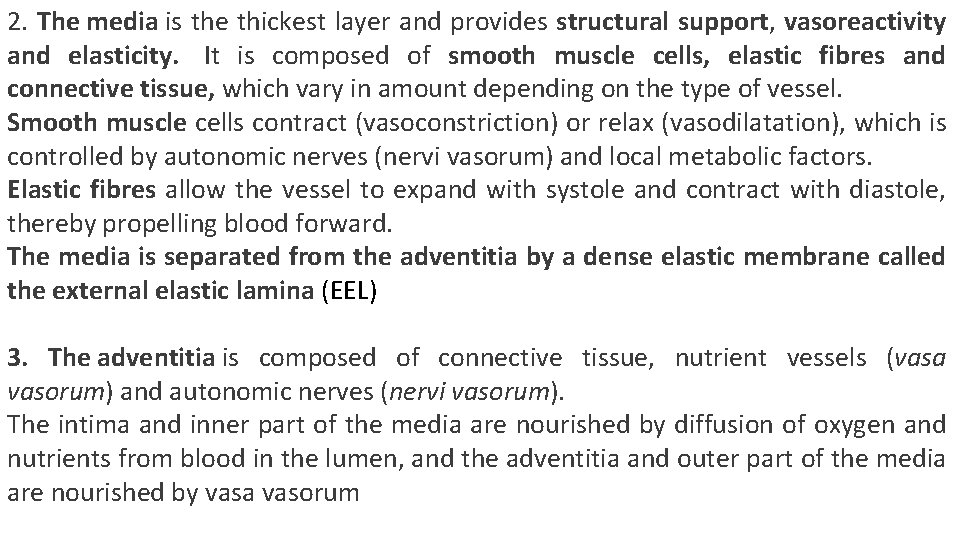 2. The media is the thickest layer and provides structural support, vasoreactivity and elasticity.