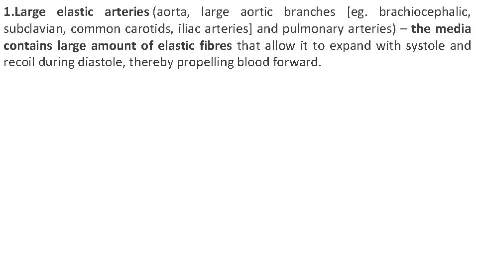 1. Large elastic arteries (aorta, large aortic branches [eg. brachiocephalic, subclavian, common carotids, iliac