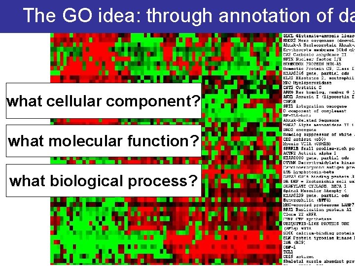 The GO idea: through annotation of da what cellular component? what molecular function? what