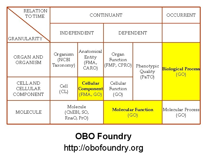 RELATION TO TIME GRANULARITY CONTINUANT INDEPENDENT ORGAN AND ORGANISM Organism (NCBI Taxonomy) CELL AND