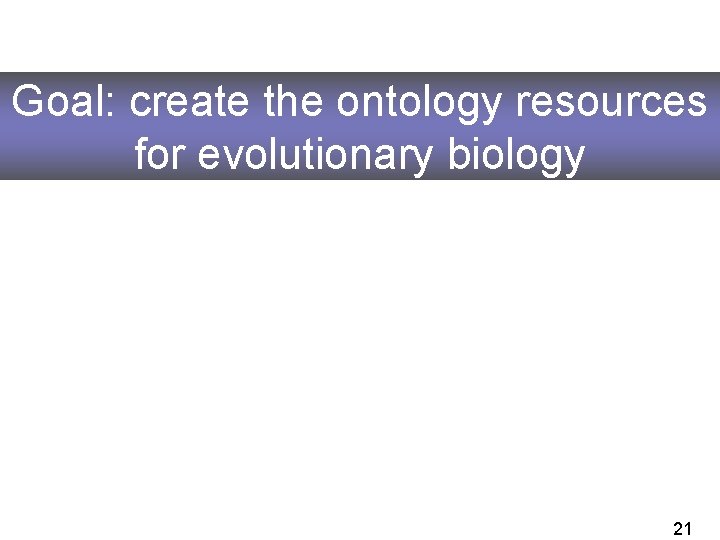 Goal: create the ontology resources for evolutionary biology 21 