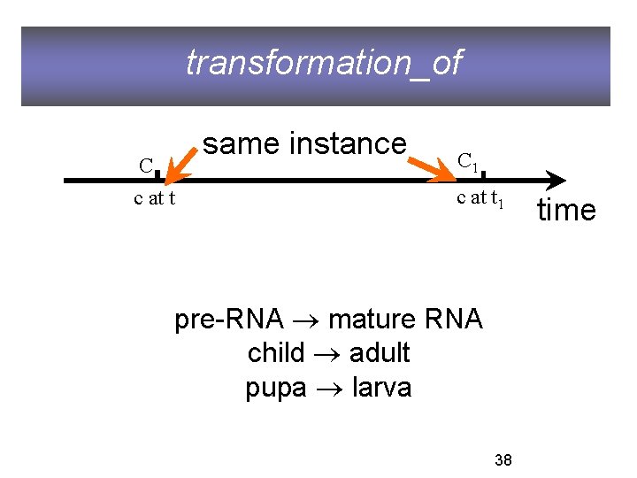 transformation_of same instance C c at t C 1 c at t 1 pre-RNA