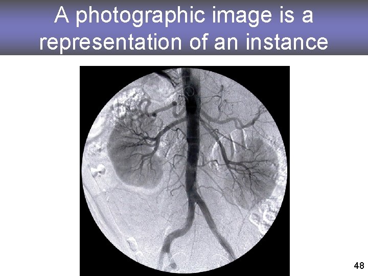 A photographic image is a representation of an instance 48 