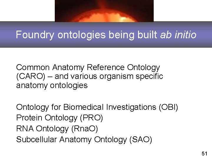 Foundry ontologies being built ab initio Common Anatomy Reference Ontology (CARO) – and various