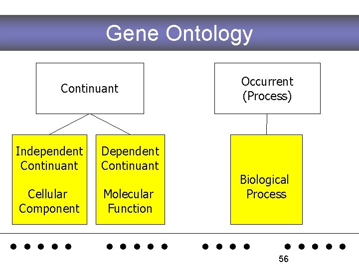 Gene Ontology Continuant Independent Continuant Dependent Continuant Cellular Component Molecular Function Occurrent (Process) Biological